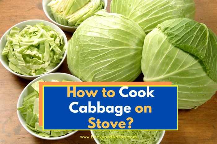 How to cook cabbage soul food style